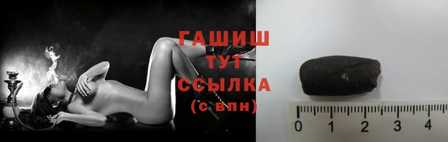 соль ск Лабытнанги