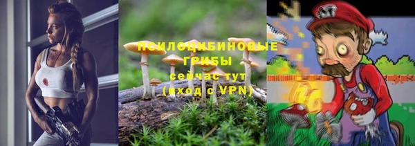 соль ск Лабытнанги