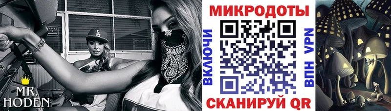 Псилоцибиновые грибы Psilocybe  Златоуст 