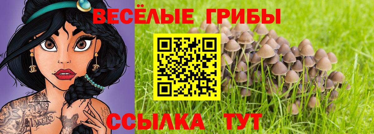 Псилоцибиновые грибы Psilocybine cubensis Златоуст